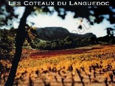 Vins du Languedoc